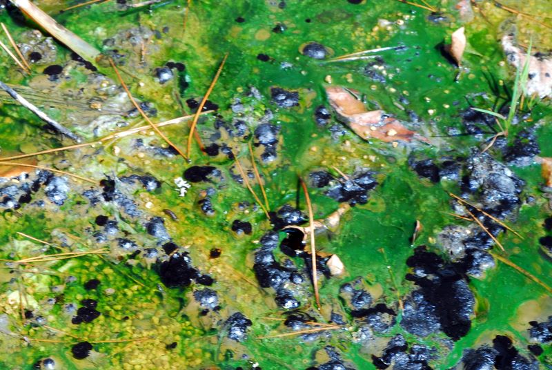 dcc_5472.jpg