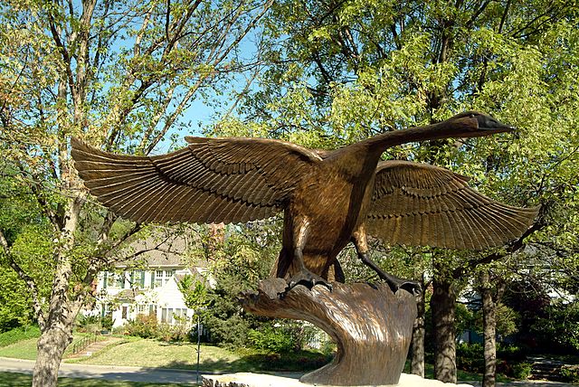 picture_003.jpg