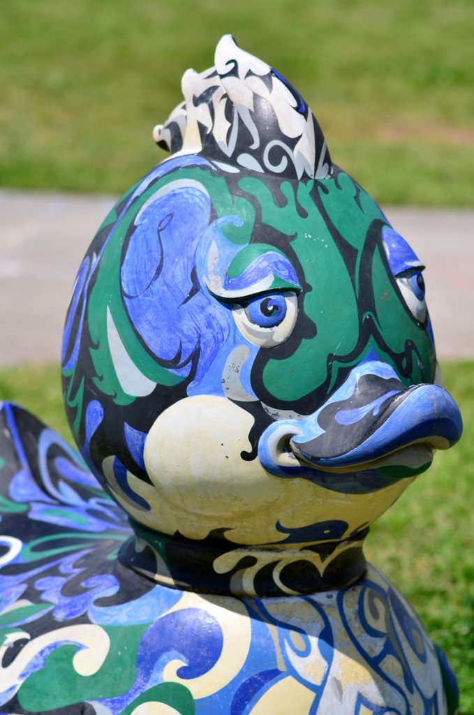 17-DSC_4248.JPG