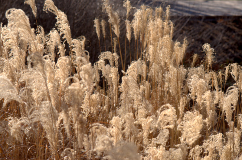 37-DSC_1304.jpg